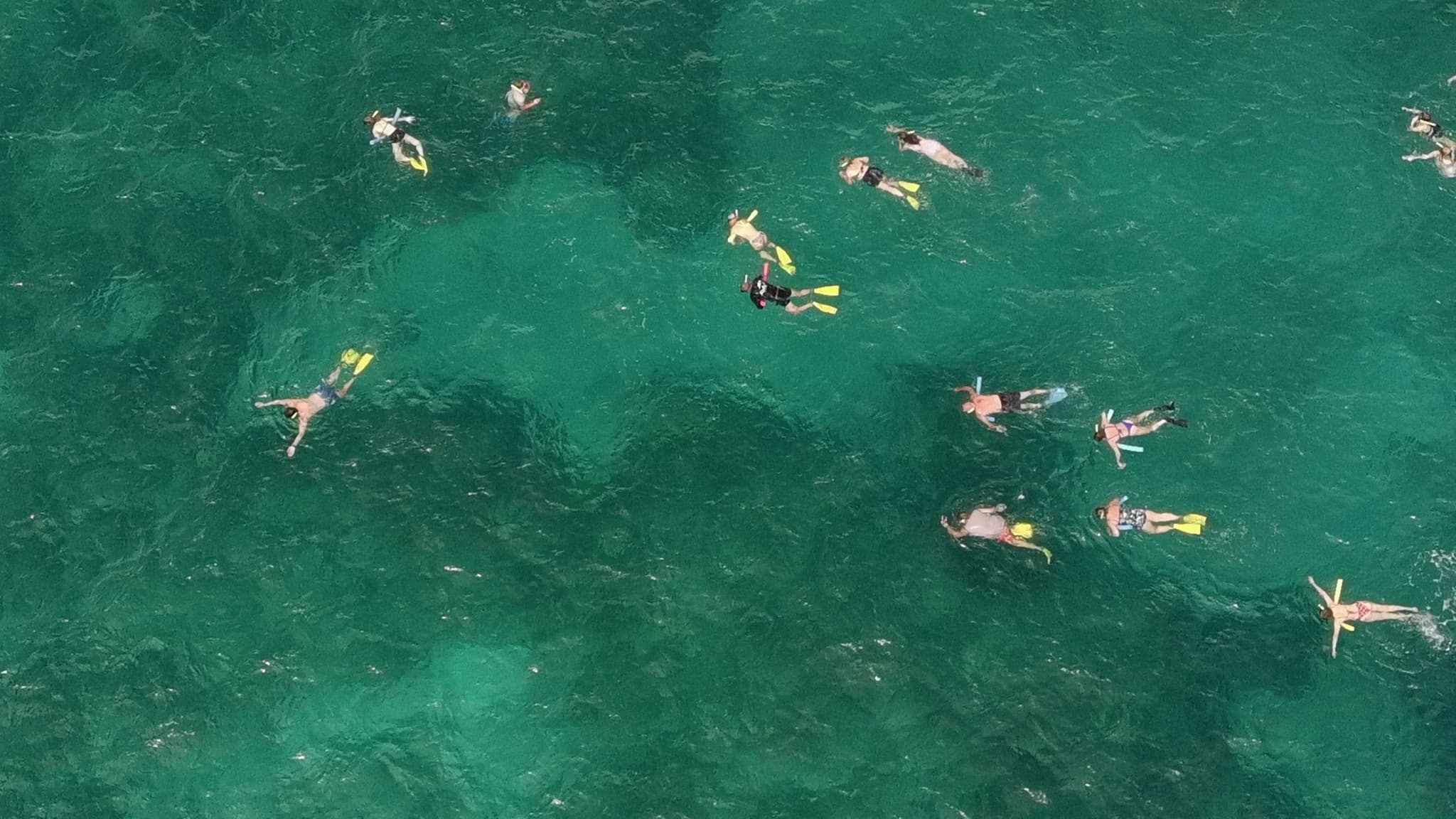 Aerial view of snorkelers in turquoise tropical shallow water