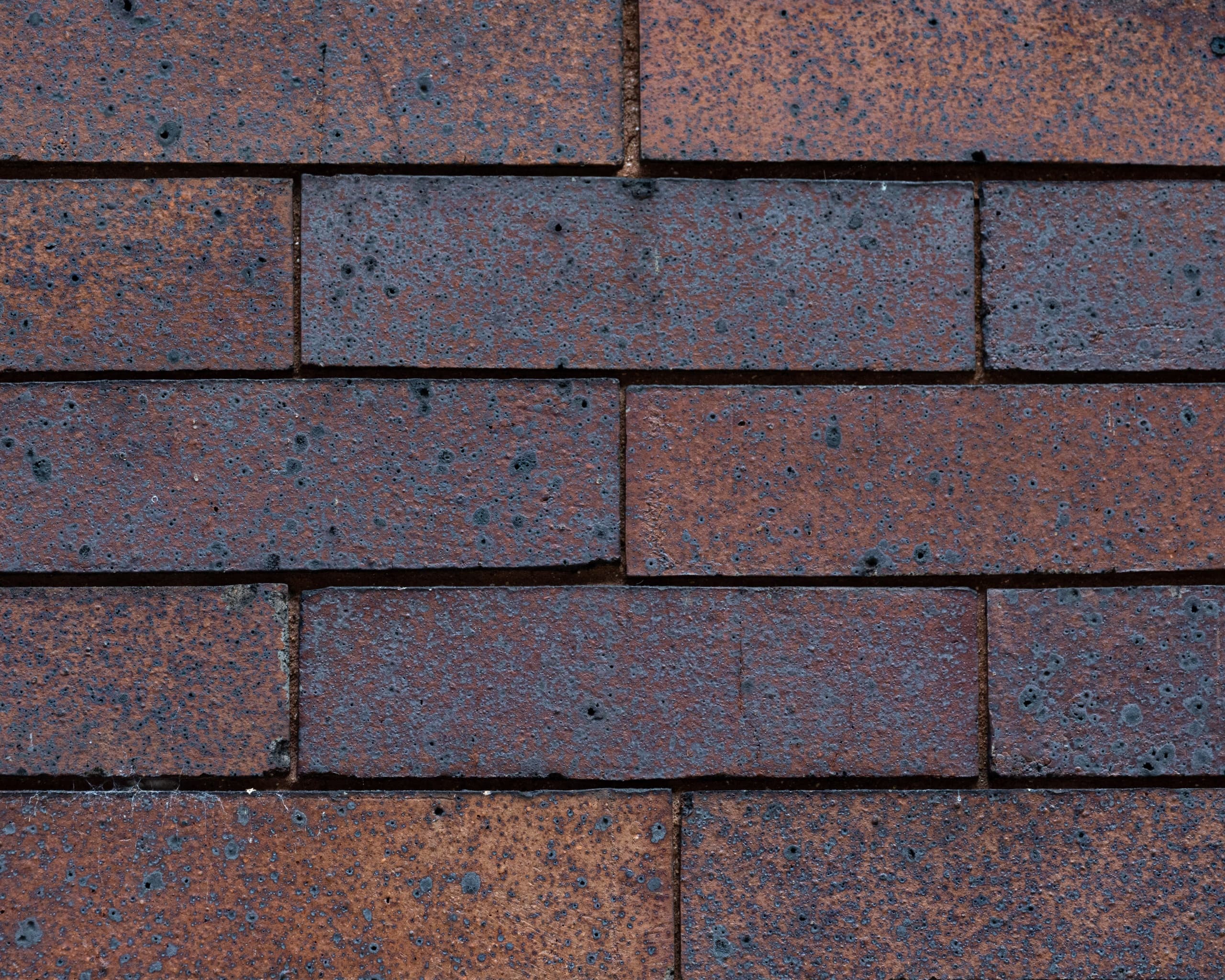 Urban History & Architecture Tour with Rogers Park