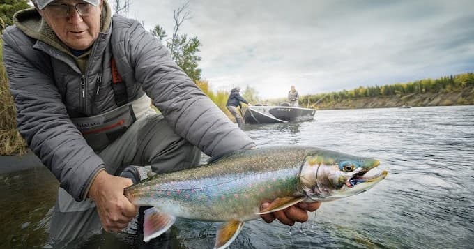 Forested Alaskan river angler holding freshly caught steelhead