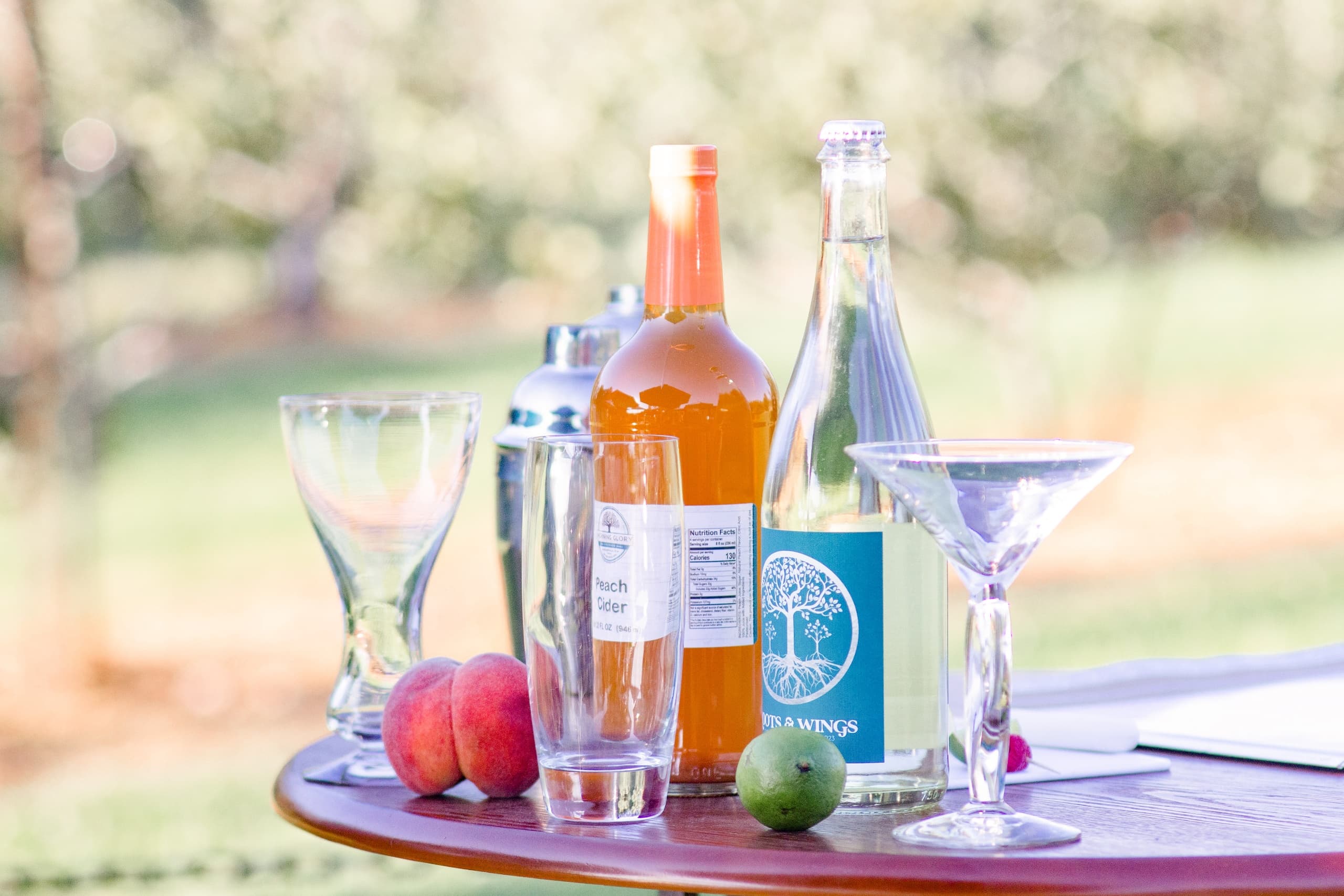 Mixology Class at Morning Glory Orchard in Nolensville