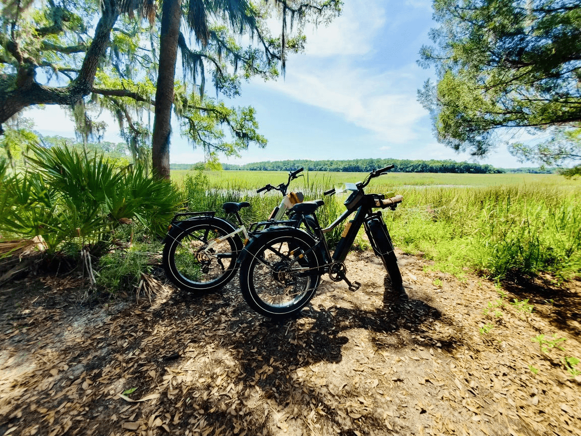 Electric beach bikes parked by coastal marsh under oak trees