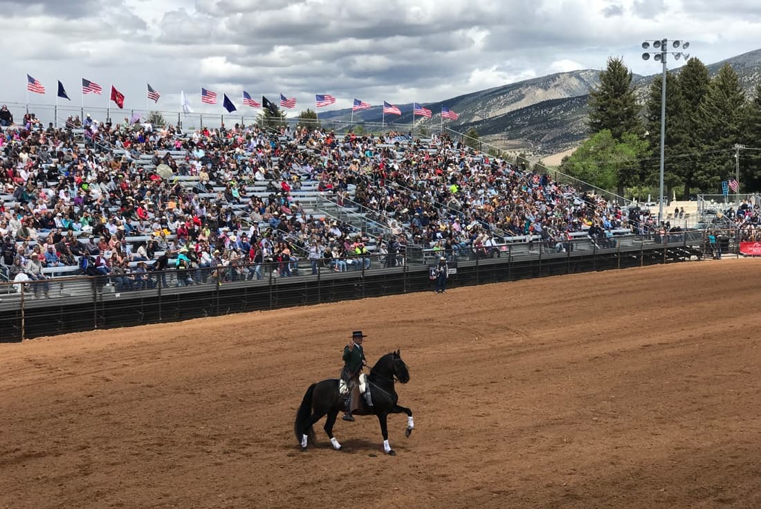Rodeo rider performing in outdoor arena with mountain backdrop