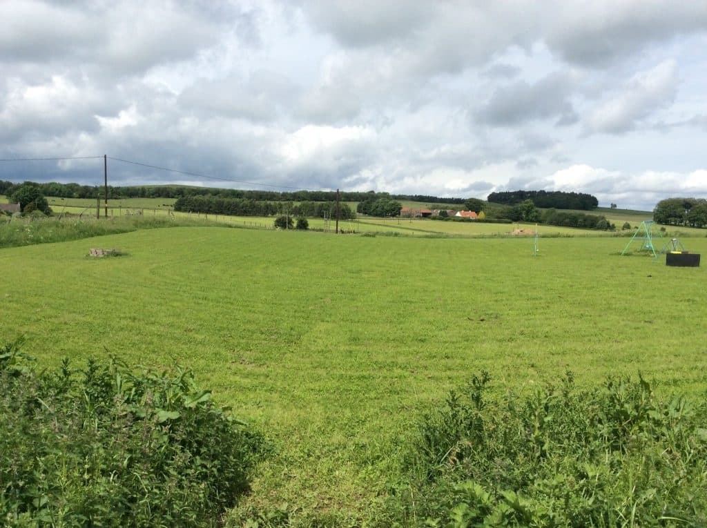 Solo Camping at Ring Farm: Quiet Pitches Near Cupar and St Andrews photo 1