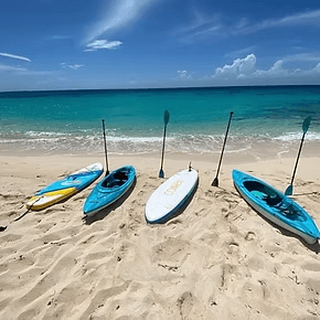 Water Activities at Purple Dolphin Watersports & Adventures in Turks and Caicos