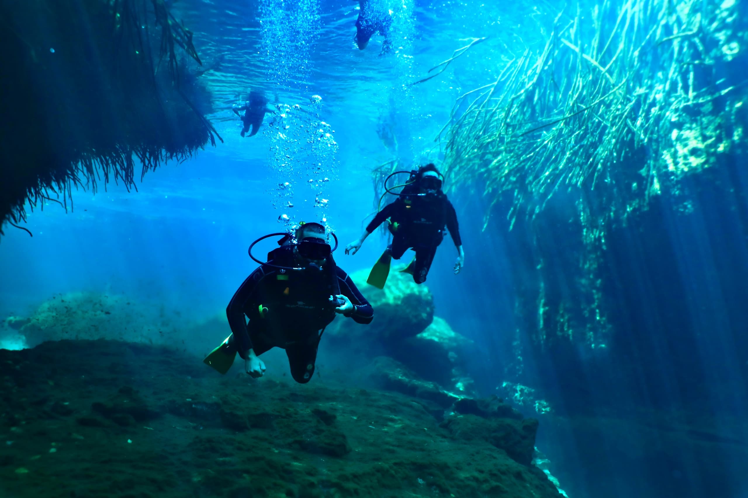 Open Cenote Diving With Mexidivers Tulum
