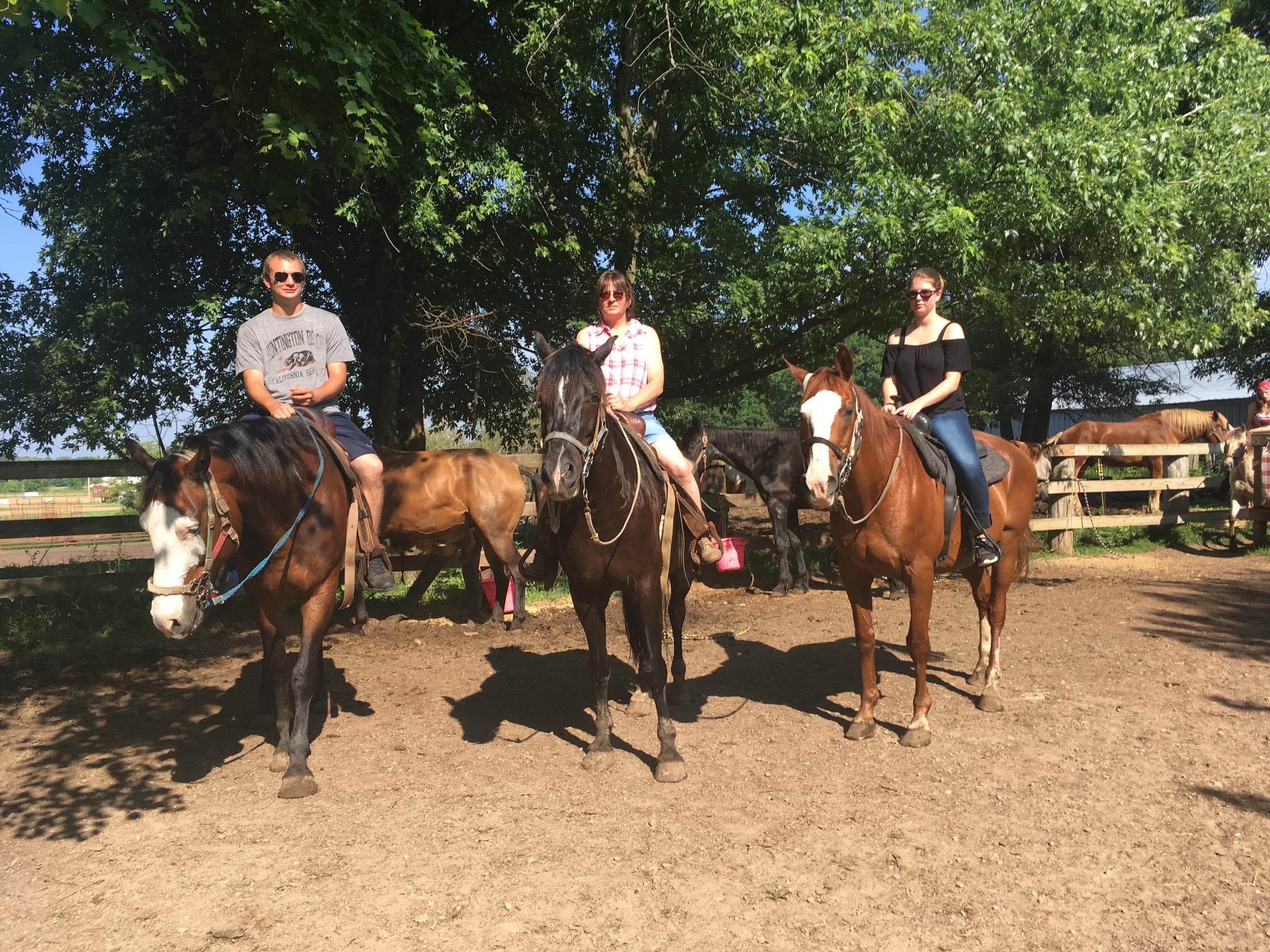 Land Adventures at Red Ridge Ranch: Personalized Trail Riding Experience