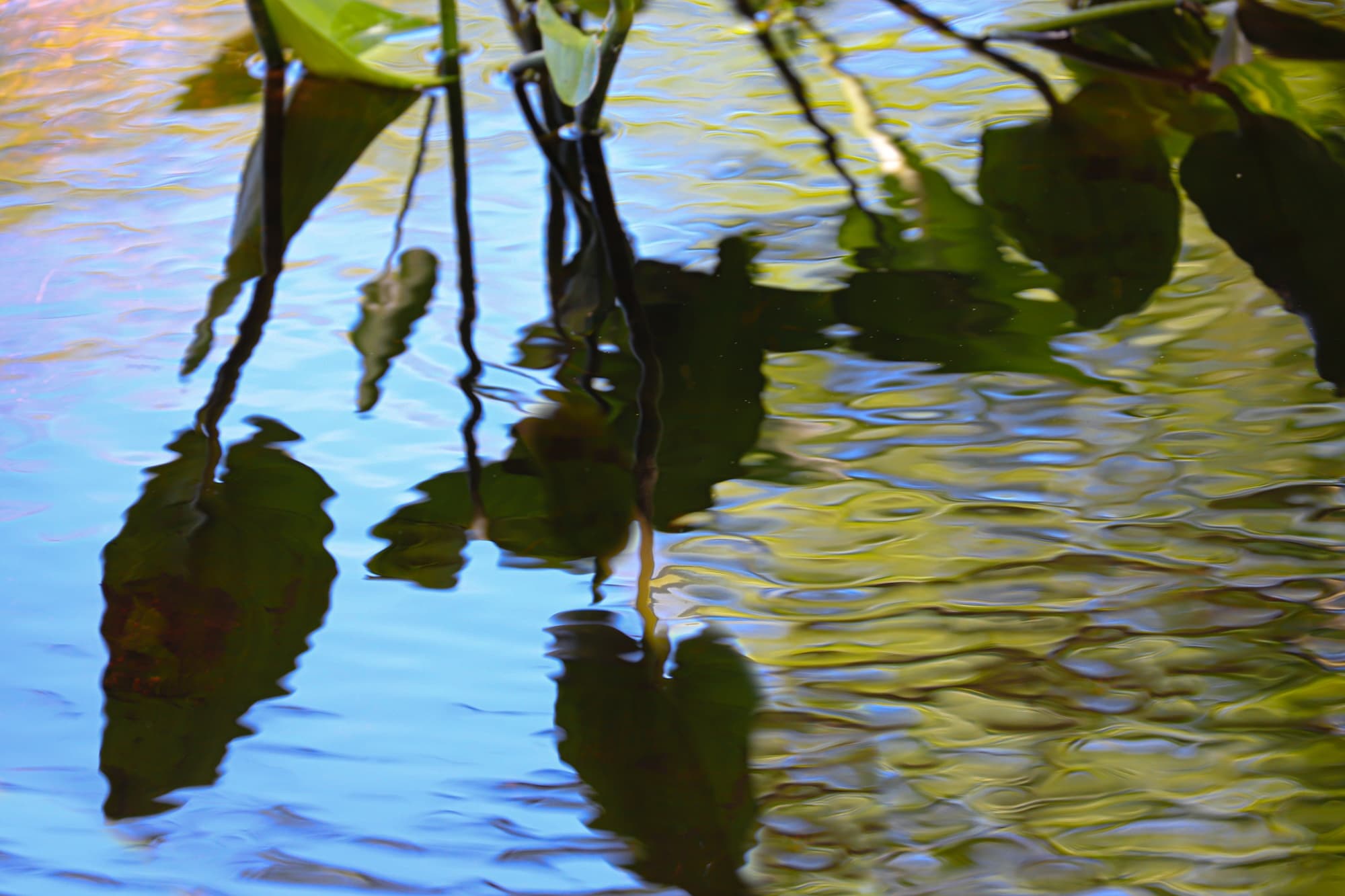 Yoga and Photography Retreat on Vinalhaven Island, ME