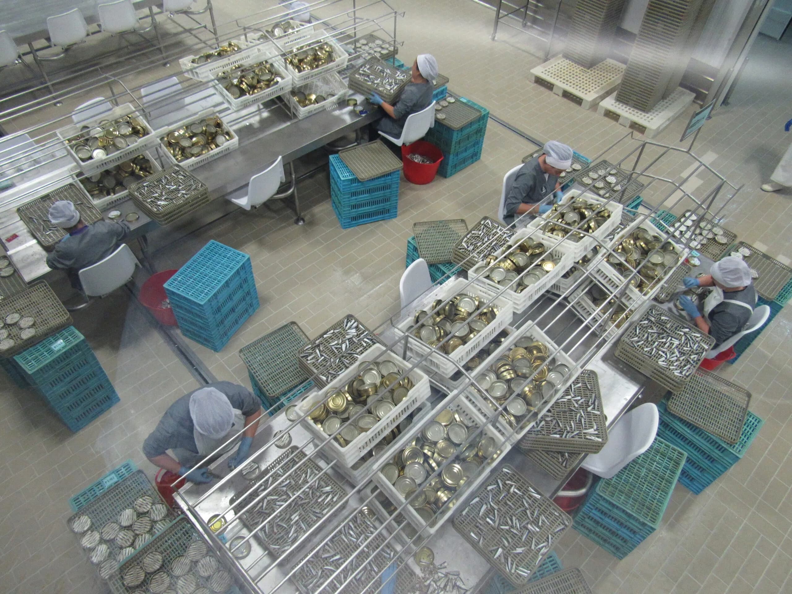 Artisanal Canning Tour in Cambados with Bluscus Turismo Marinero