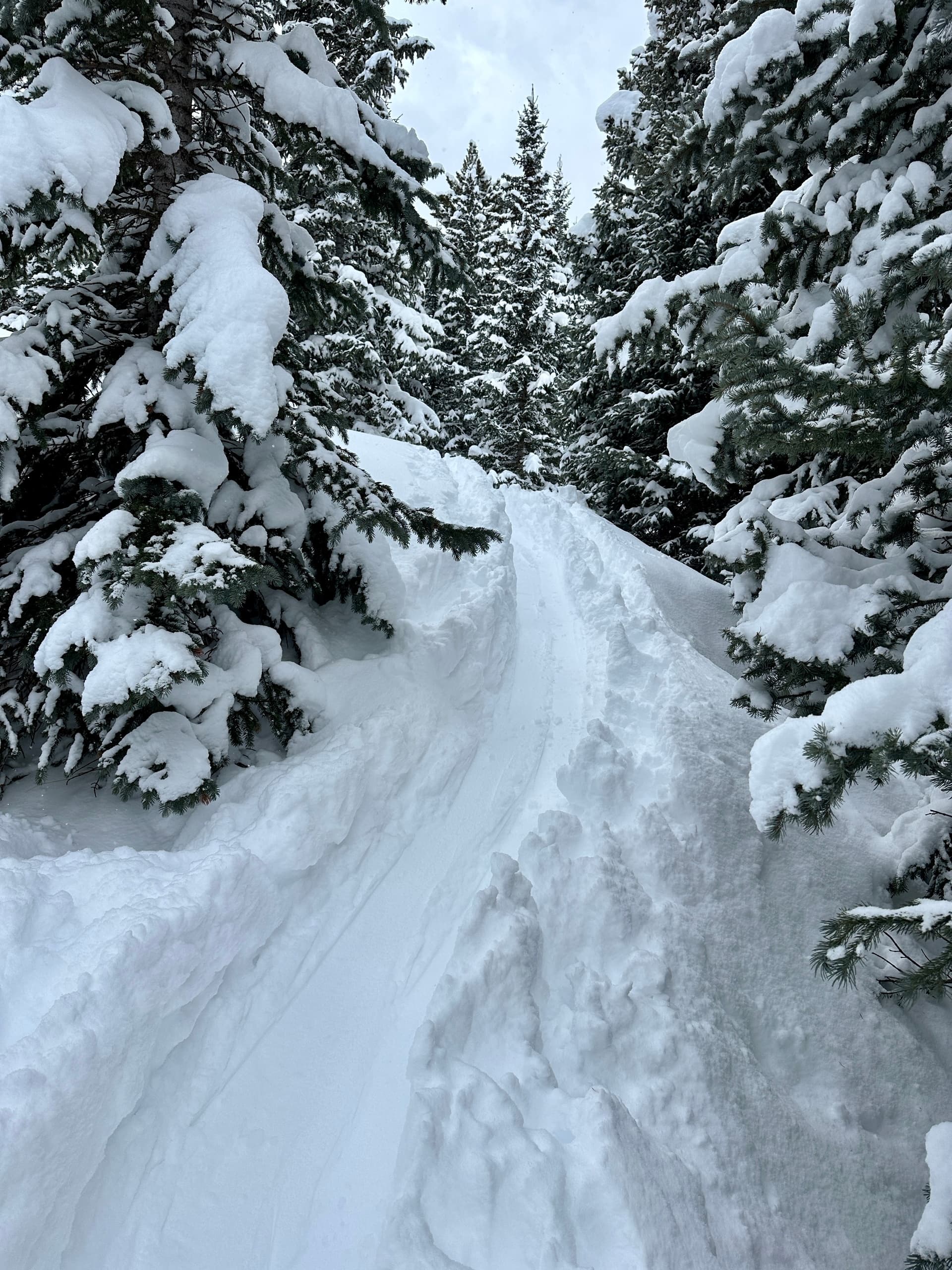Guided Snowshoeing in the San Juan Mountains: Customized Mixed-Group Tours from Durango