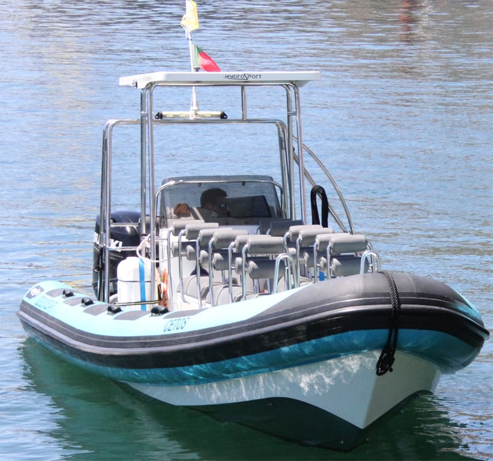 Whale Watching Adventure with H2o Madeira in Vila da Calheta