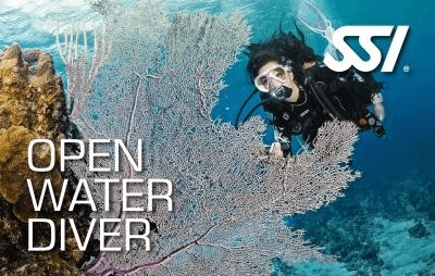 Open water diver swimming near coral garden in sunny ocean