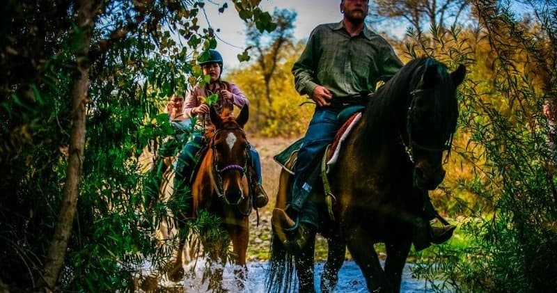Santa Ynez Valley Horseback Rides fleet