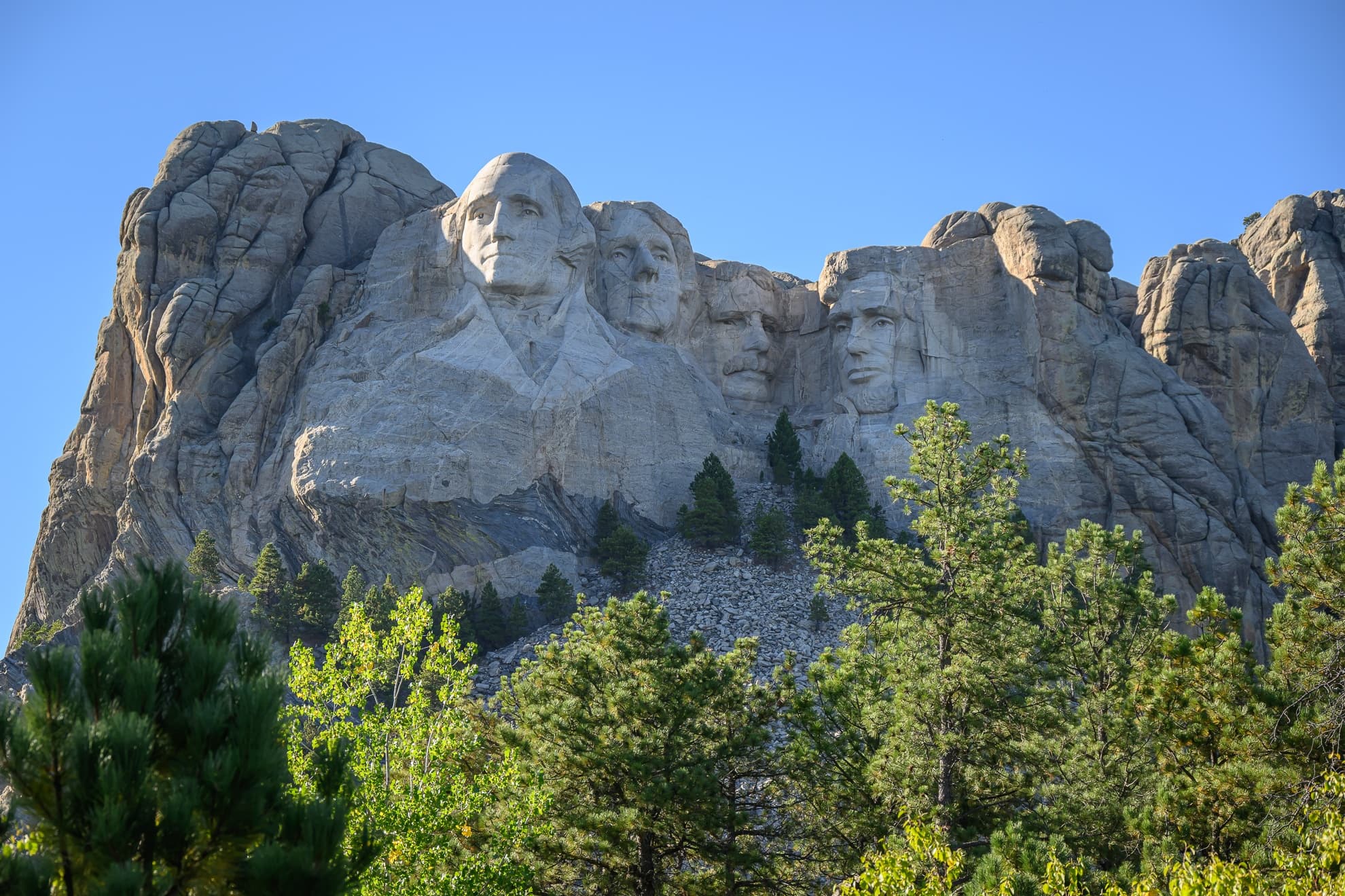 Mount Rushmore Tours fleet