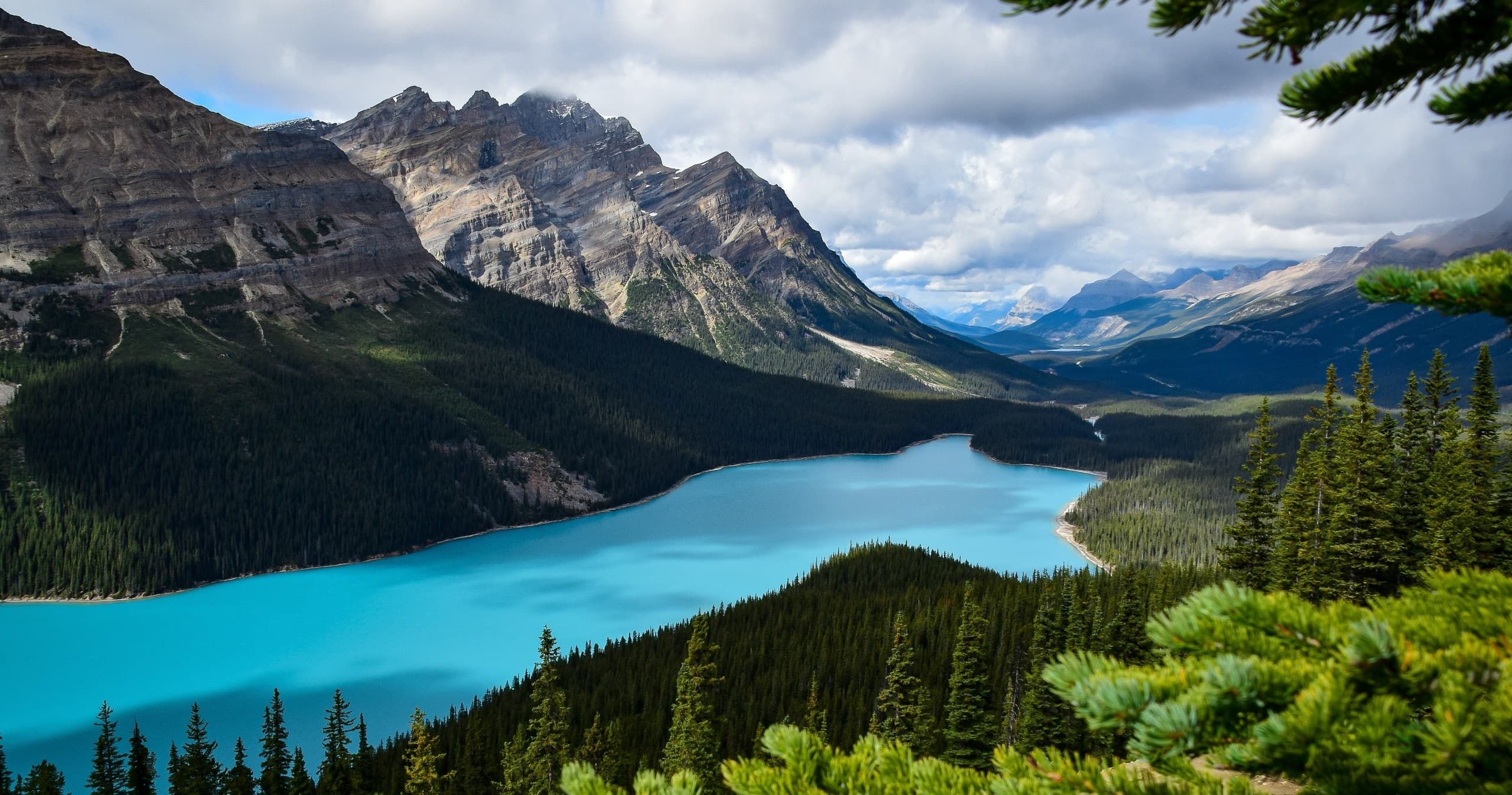 Private Icefields Parkway Adventure