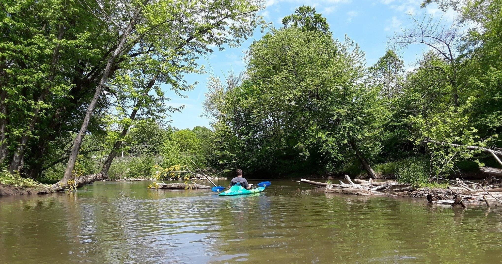 Solo kayaker navigating calm river under lush green canopy