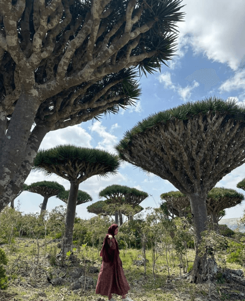 Land Adventures in Socotra with ECC Adventure