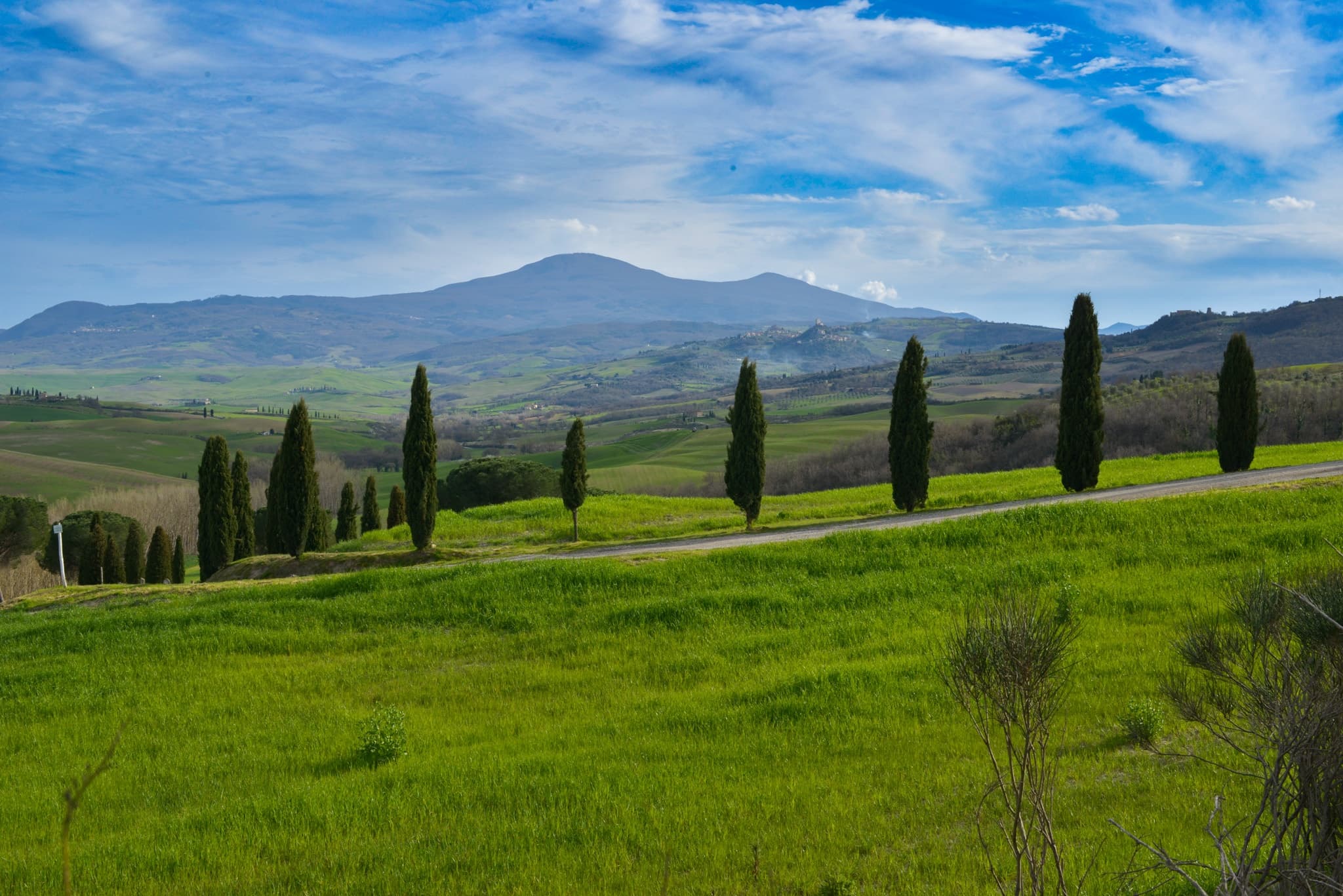 Wine Tasting - Tuscany 4 Explore by The Adventure Collective