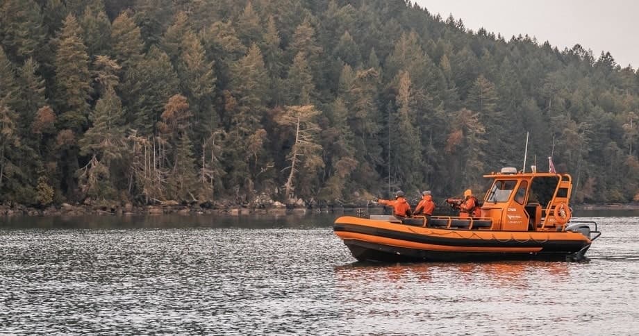 Private Whale Watching with Vancouver Island Whale Watch