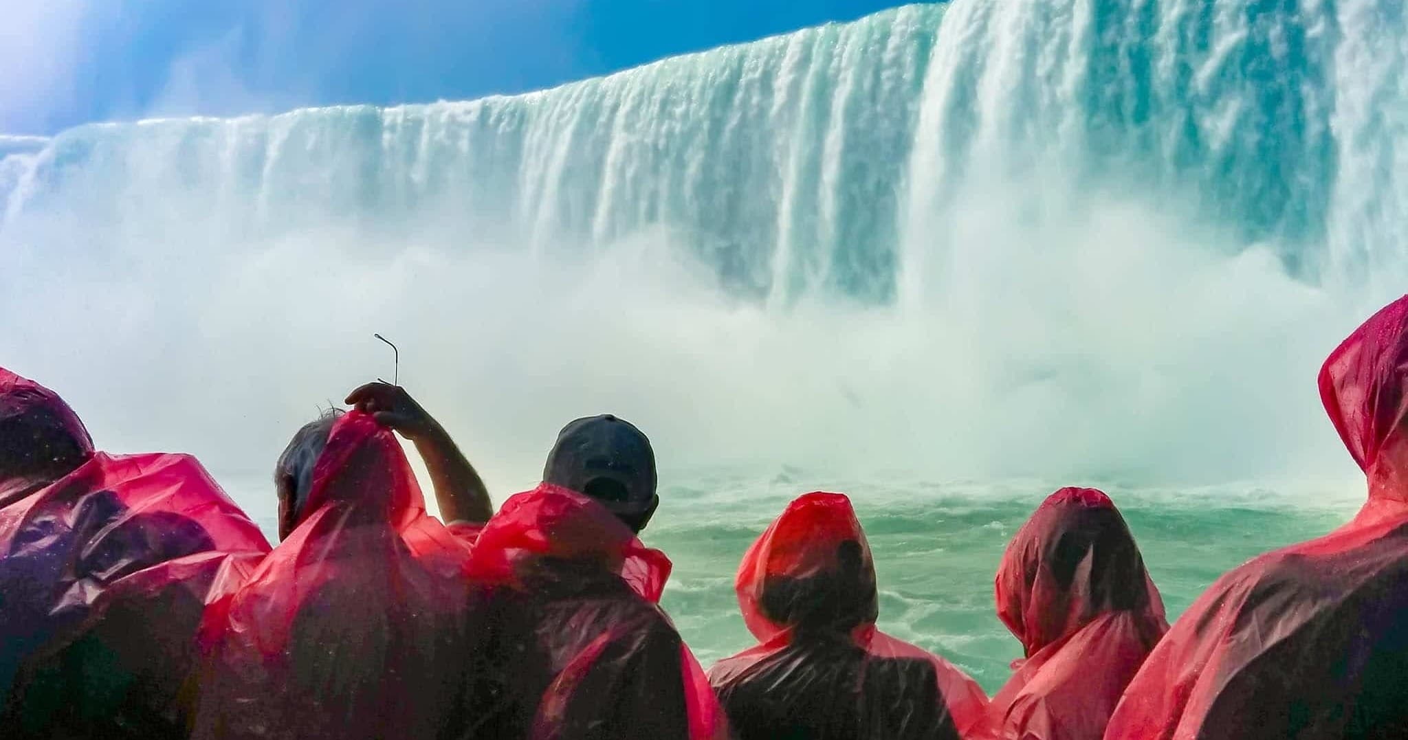 Niagara Toronto Tours fleet