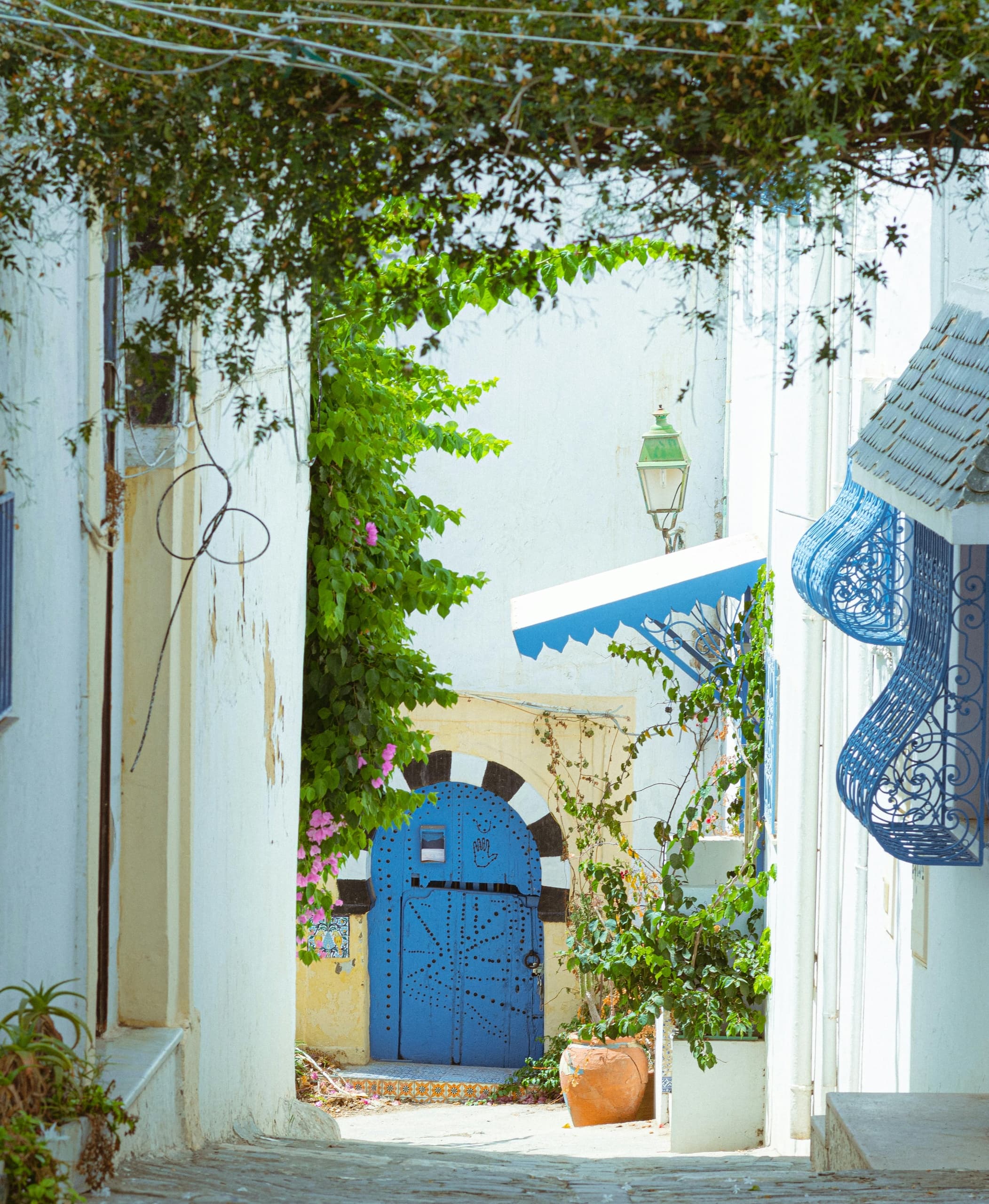 Explore Tunes, Carthage & Sidi Bou Saïd: A Full-Day Journey Through Tunisian History and Culture