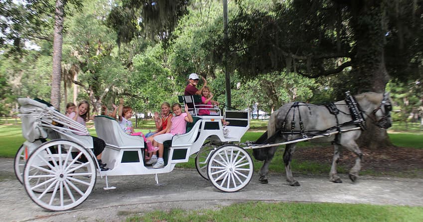Daytime Narrated Carriage Tour on Jekyll Island, GA