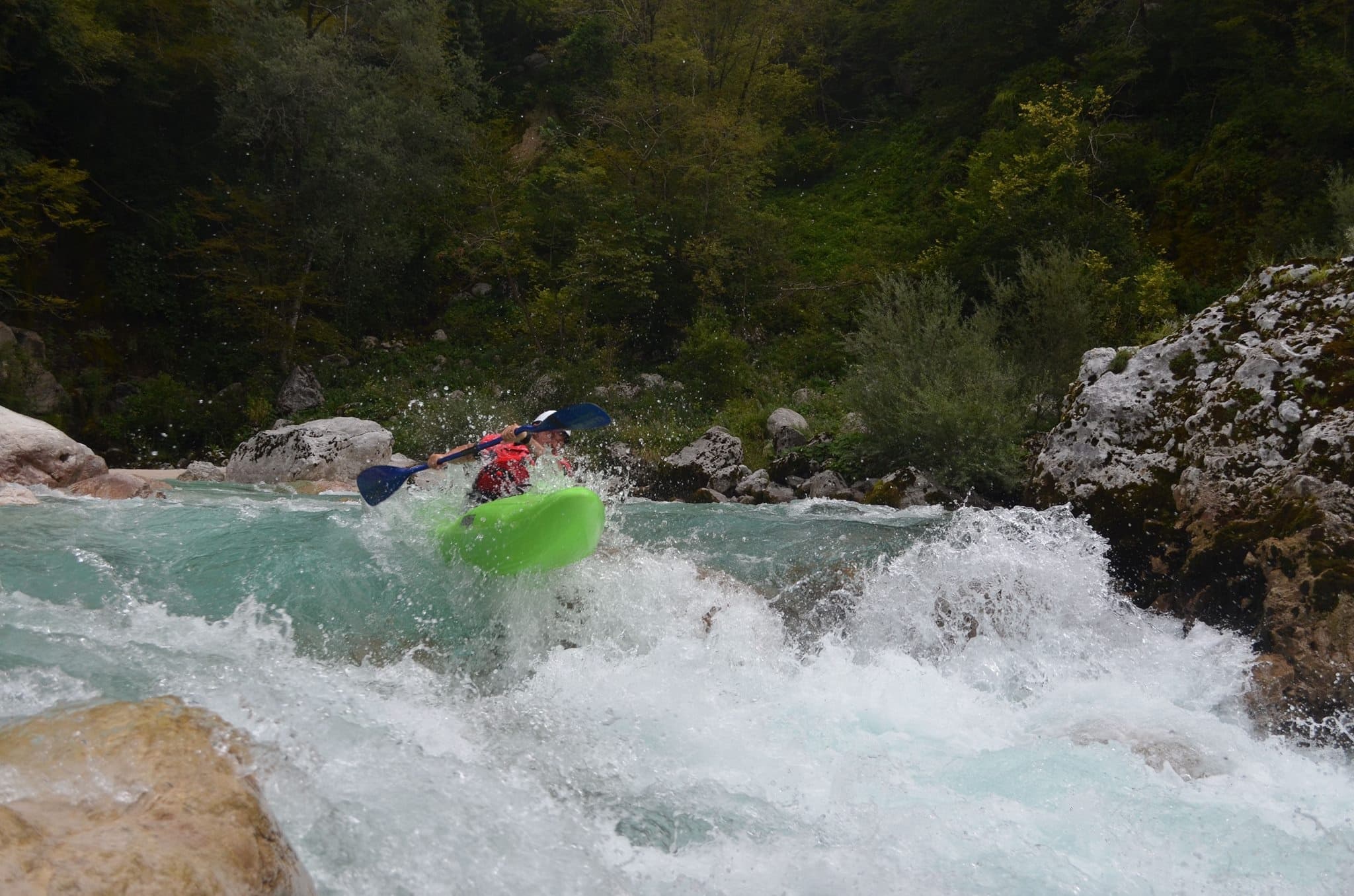 Kayaker shooting turbulent rapids in forested alpine river