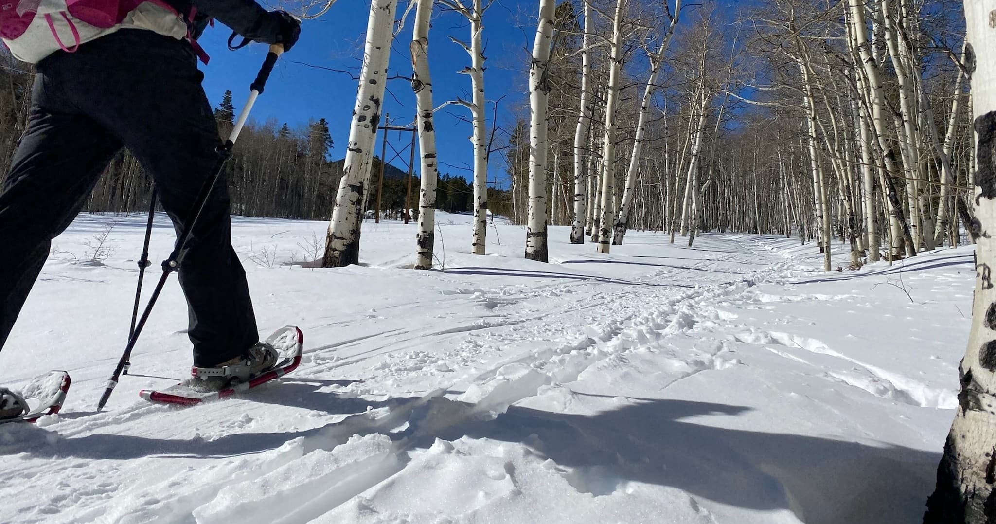 Snowshoeing through aspen forest in snowy mountain meadow