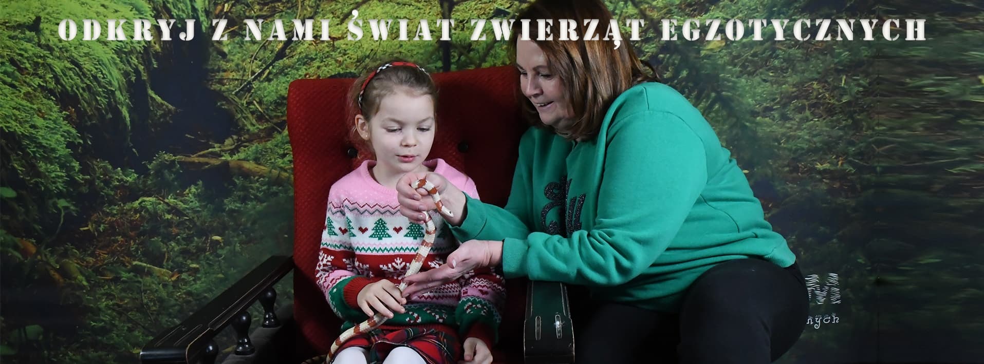 Child and staff holding exotic animal in indoor animal encounter