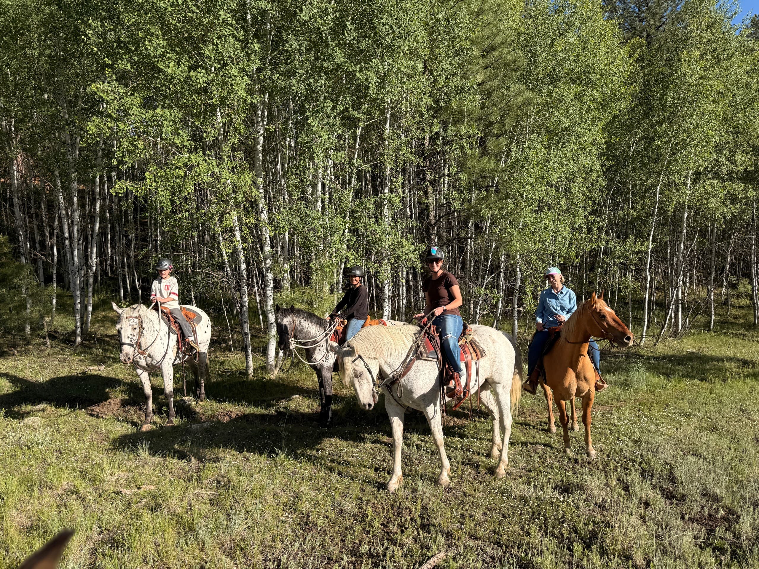 Sunset Horseback Ride in Pagosa Springs: Summer Night Ride at Diamond Hitch Stables photo 3