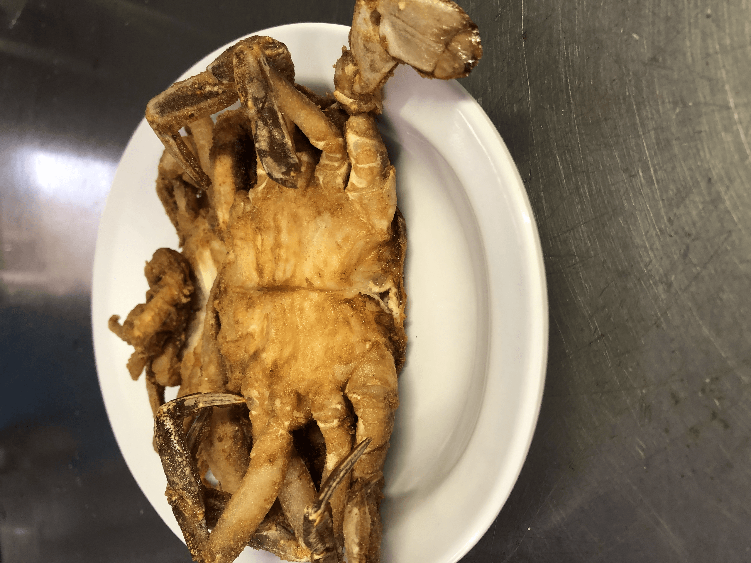Boat Charters & Crab Feast at Smith Island with Captain Tyler