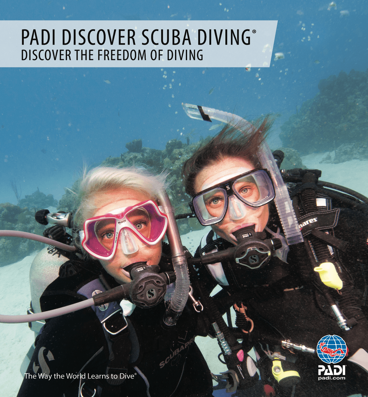 Water Activities: PADI Discover Scuba Diving at Espiritu De Buceo