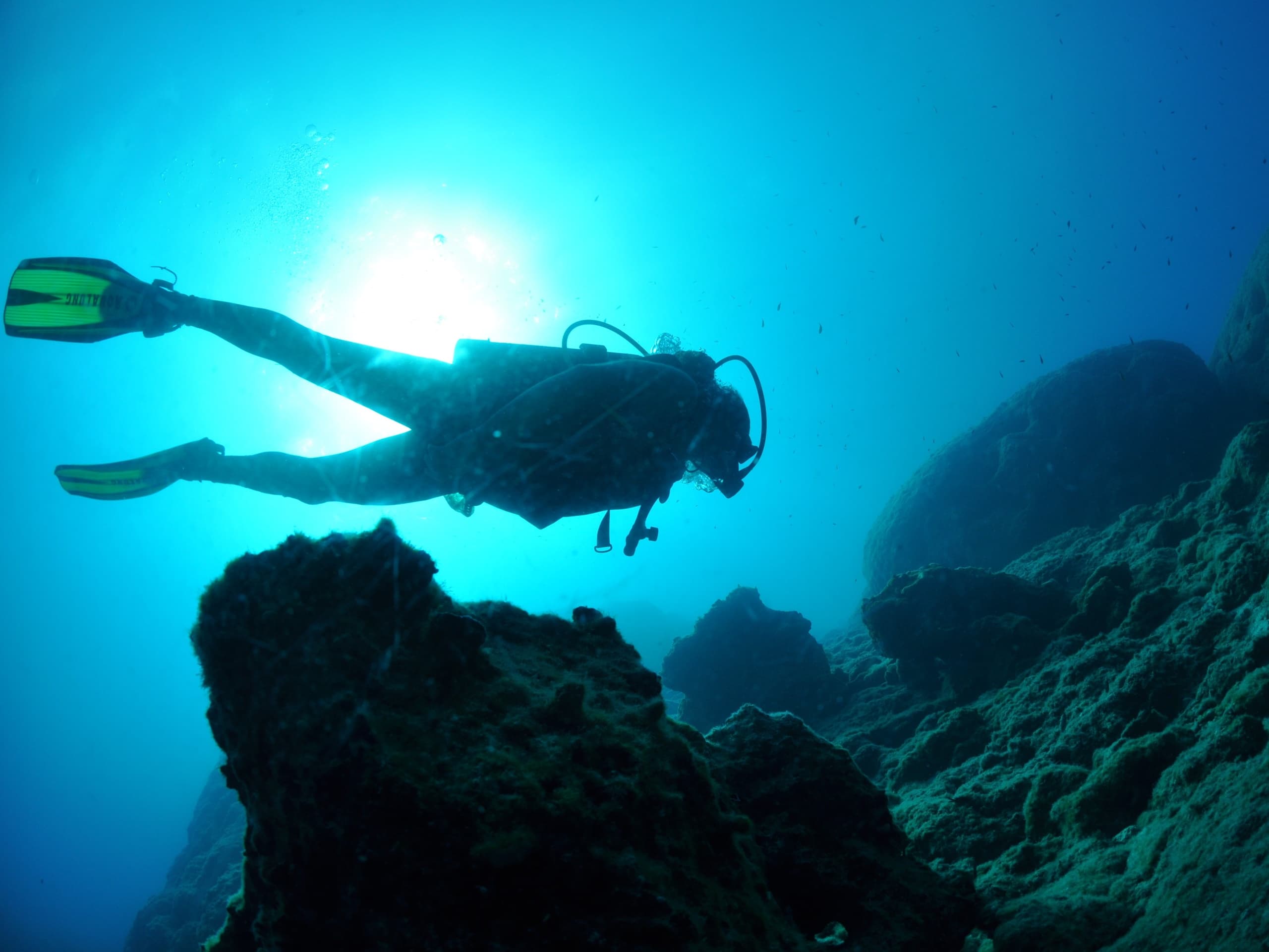 Four Days Diving: 8 Dives and PADI Certification Off Chania