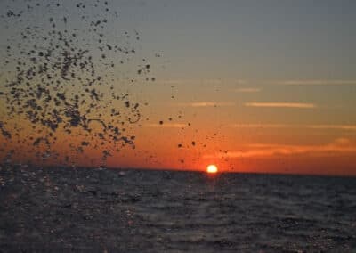 'Side Kick' Sunset Cruise in Murrells Inlet, SC