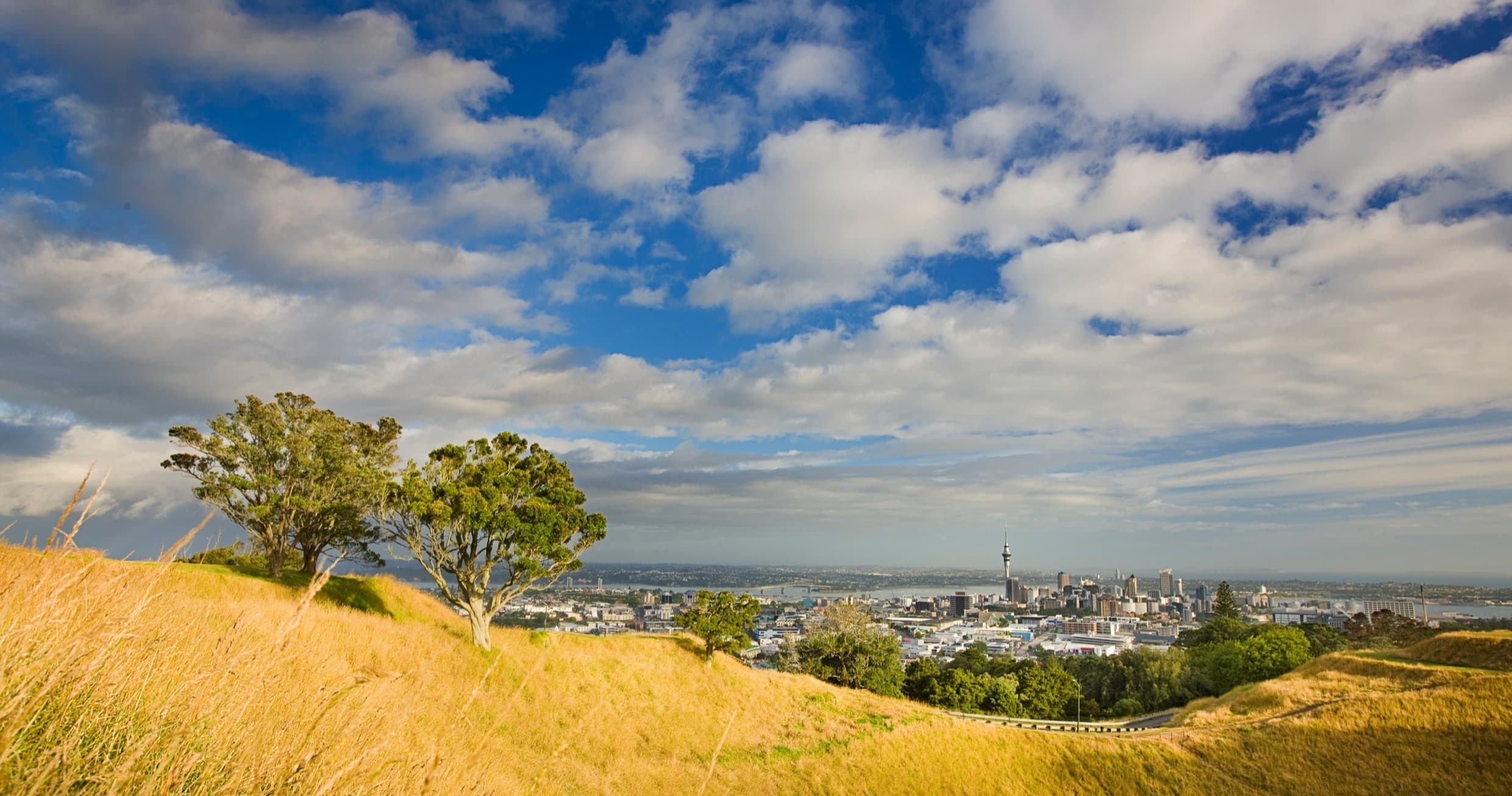 Auckland Volcanoes Private Luxury Tour by TIME Unlimited Tours