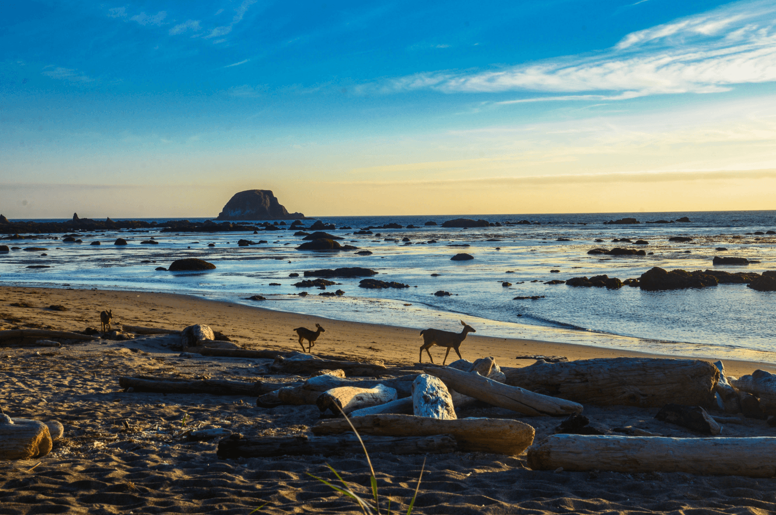 Serene beach vista at golden hour with distant sea stack