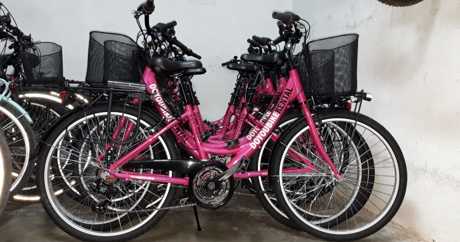 Explore Valencia on Two Wheels: The Ultimate Bike Rental Experience