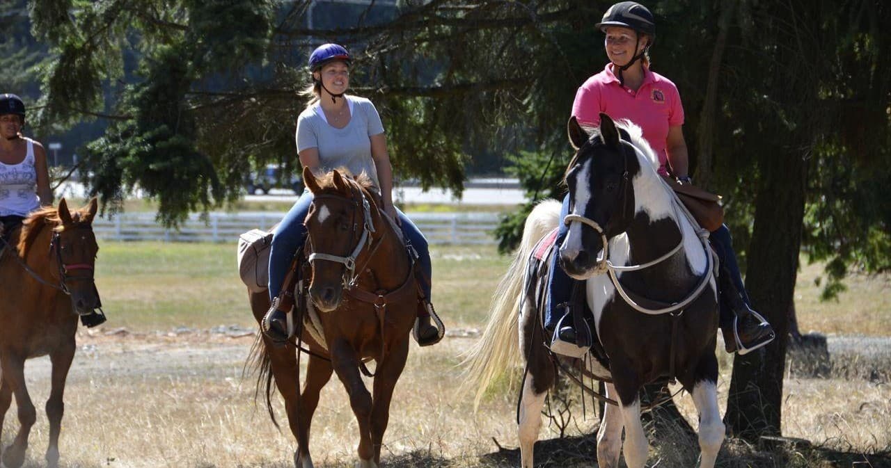 Trail riders on horseback under trees in sunny ranch setting
