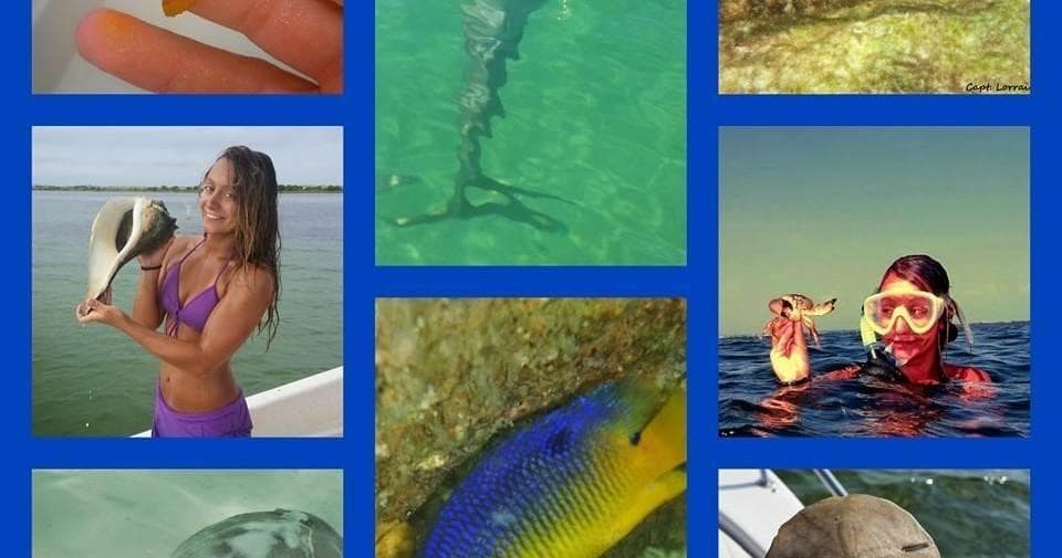 Private Boat Charters in Panama City Beach with Dolphin and Snorkel Tours