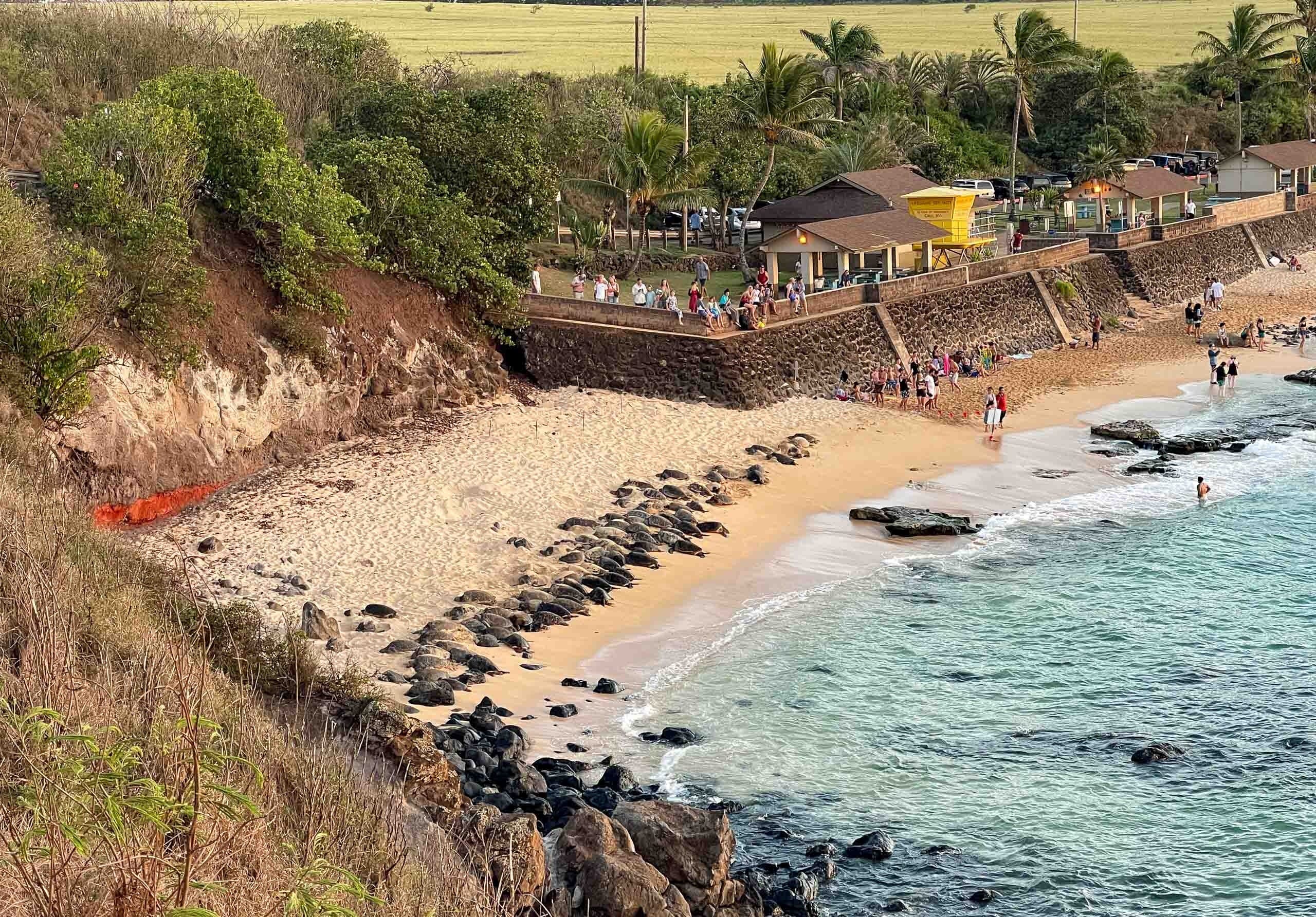 Private Maui Tour: Customize a Day on the Island from Kihei photo 2