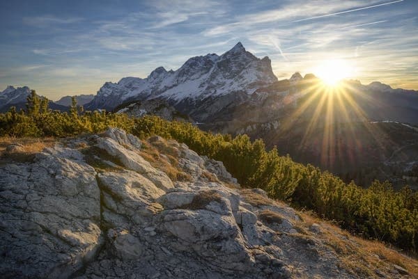 Explore Rocky Mountain National Park with a Private Chauffeured Afternoon Tour from Estes Park