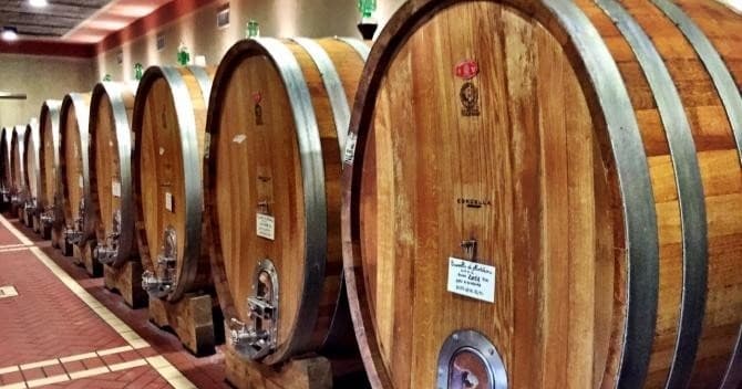 Wine Tasting & Winery Tour at Azienda Agricola Maddalena Cordella