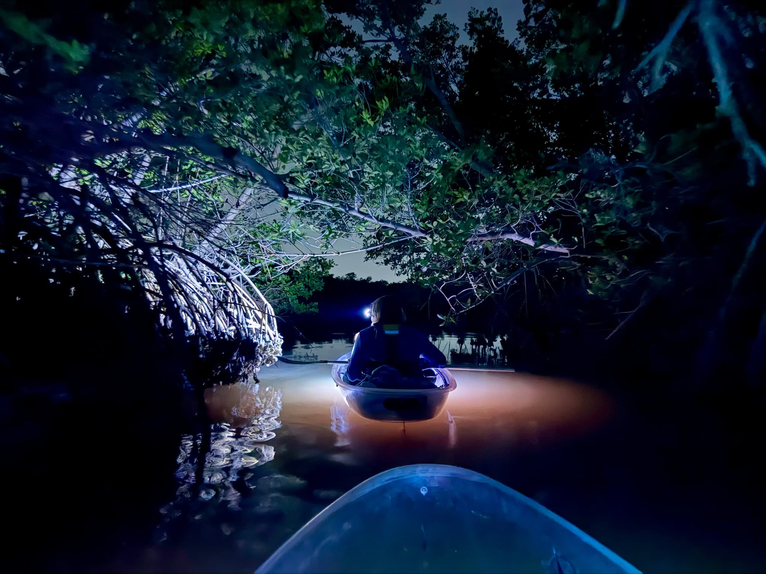 Clearwater Cooper's Bayou Glow: Clear Kayaks & Bioluminescence Night Tour photo 1