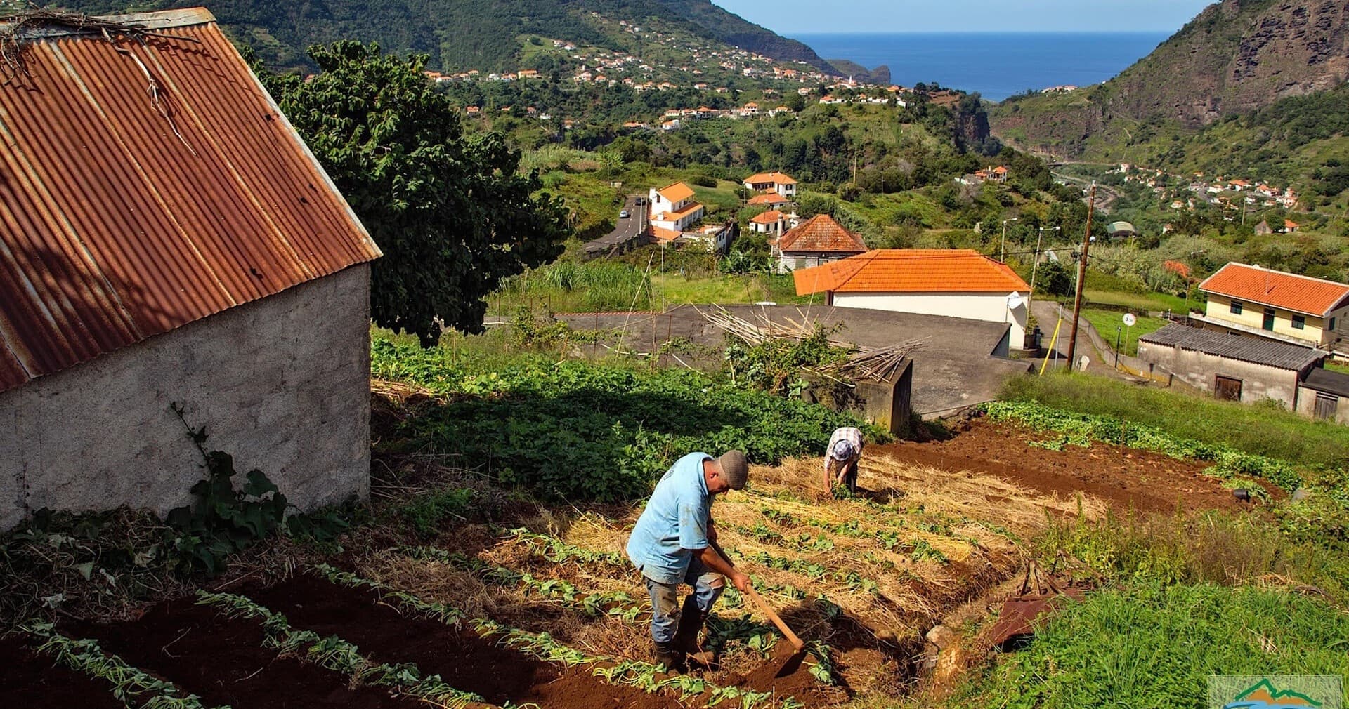 Madeira Combo Tour: Jeep Safari & Levada Walk with Madeira Happy Tours