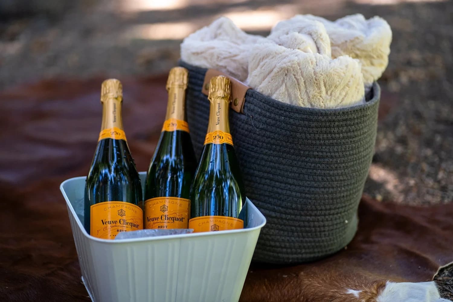 Peak Indulgence Jeep Tour: High-Alpine Luxury Picnic Above Vail photo 2
