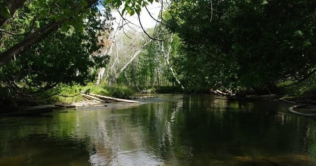 Challenging Mid-Section Kayak Trip in Indian River, MI