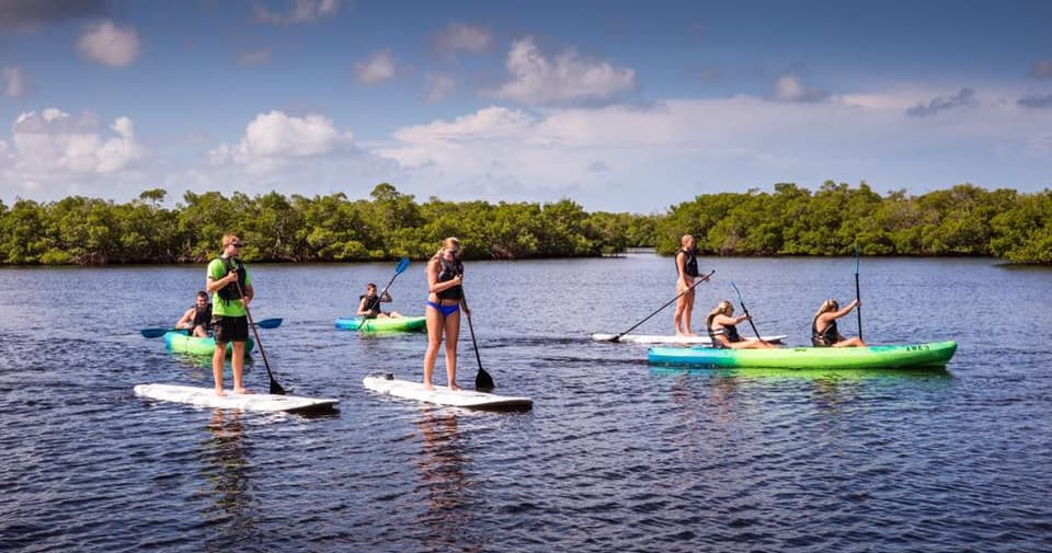 Kayak & Paddleboard Rentals at AWE Marina in Naples