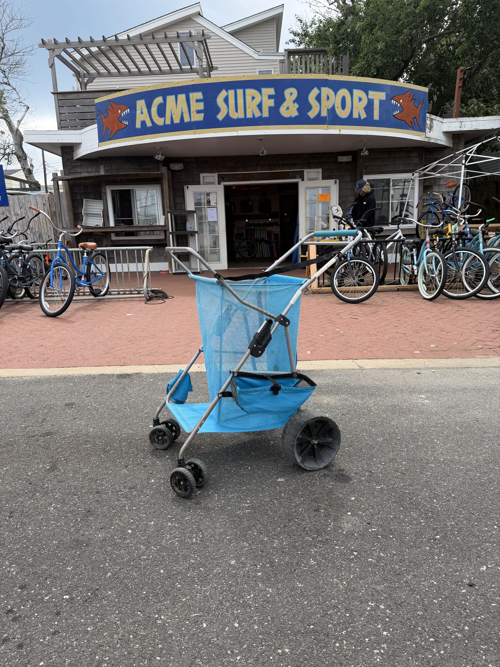 Beach Cart Rentals in Long Beach, NJ: Haul Gear to the Sand with Ease photo 1