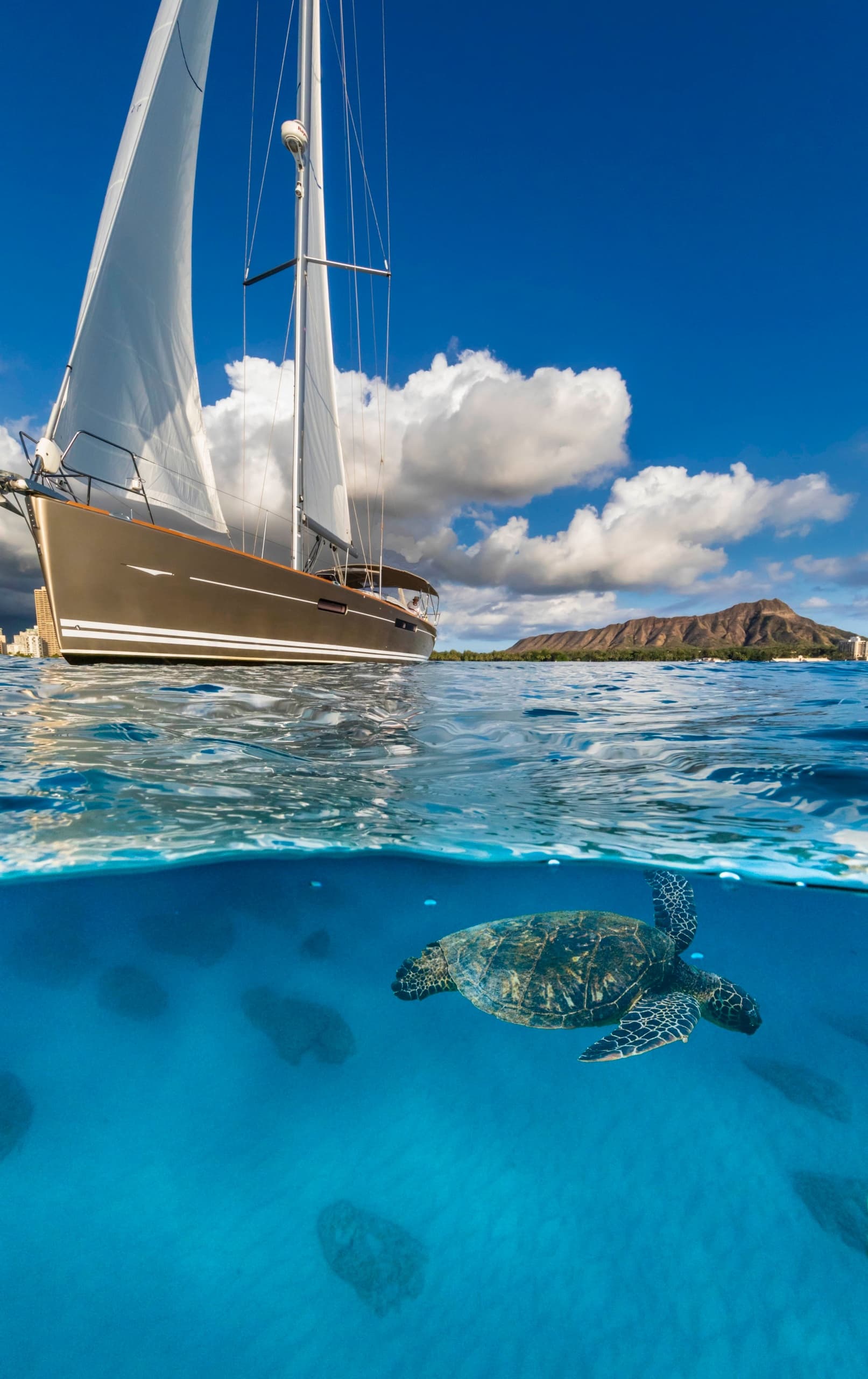 Sailing catamaran above coral reef with swimming sea turtle