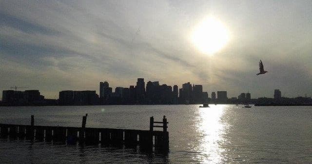 Sunset skyline view over Boston Harbor with seagull