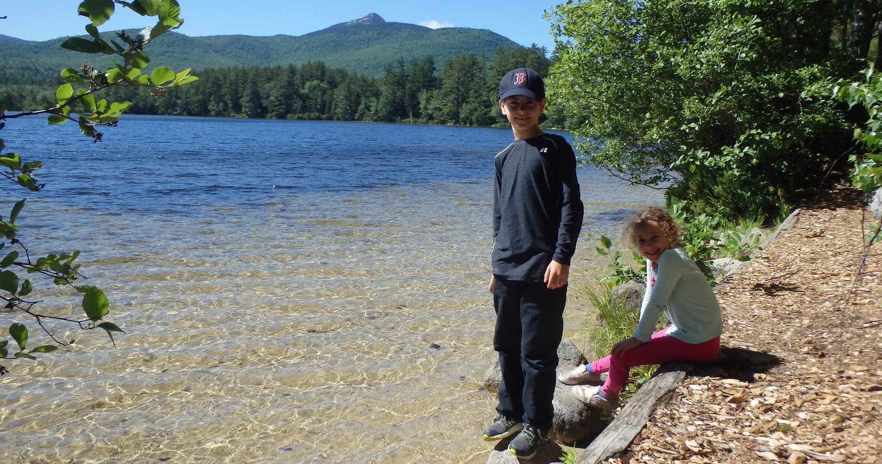 Half Day Moose & Sightseeing Tour in Freedom, NH